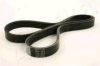 ASHIKA 112-5PK1025 V-Ribbed Belts